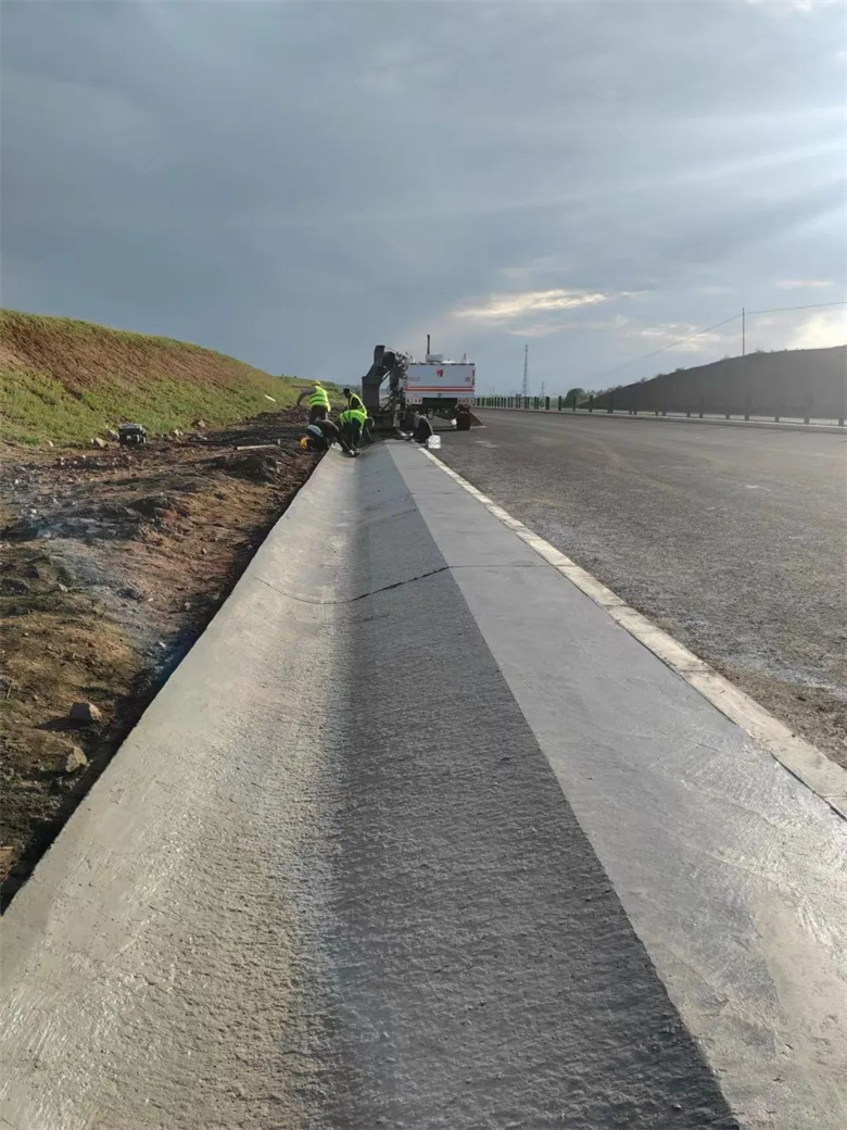 女人与公狍交酡女免费