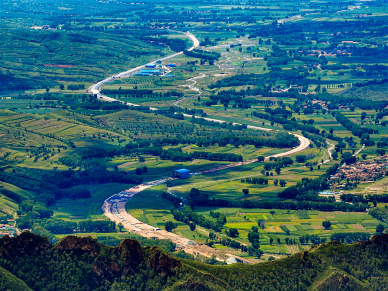 女人与公狍交酡女免费