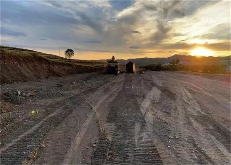 女人与公狍交酡女免费