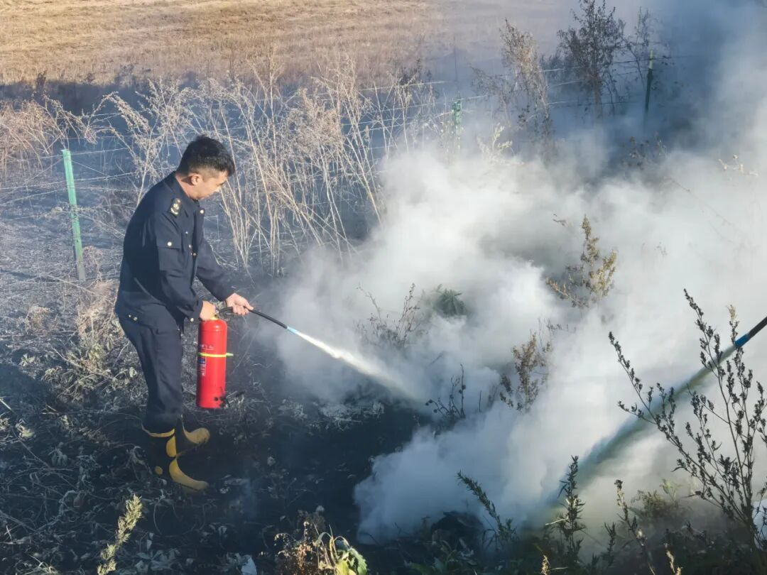 女人与公狍交酡女免费