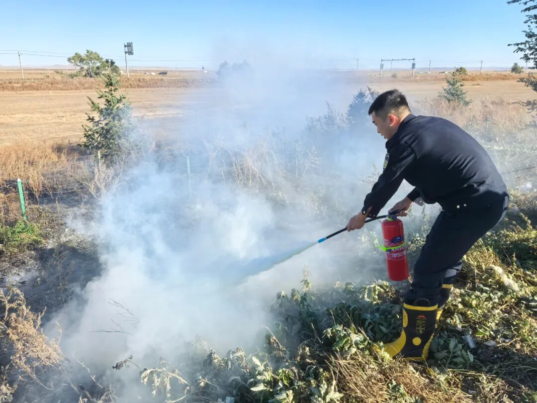 女人与公狍交酡女免费