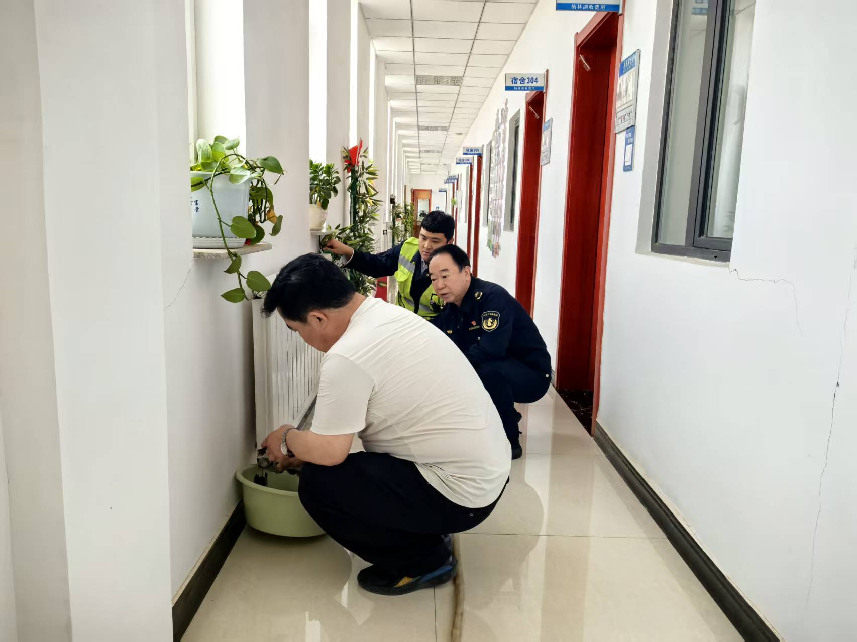 女人与公狍交酡女免费