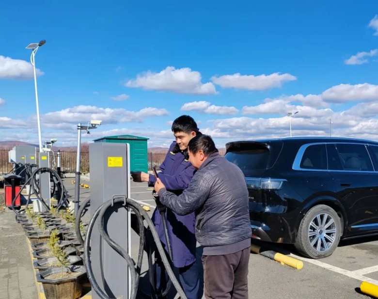 女人与公狍交酡女免费