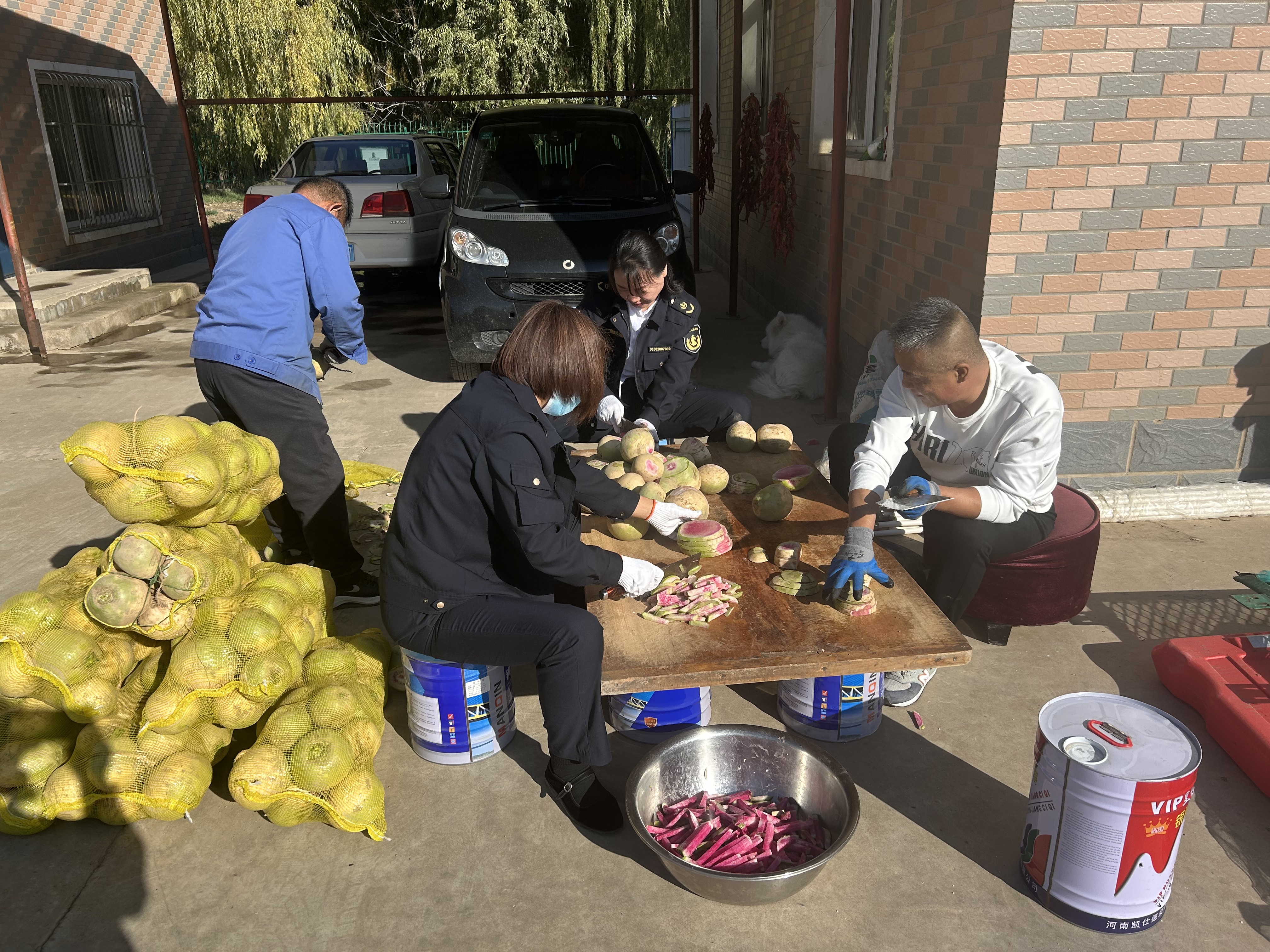 女人与公狍交酡女免费