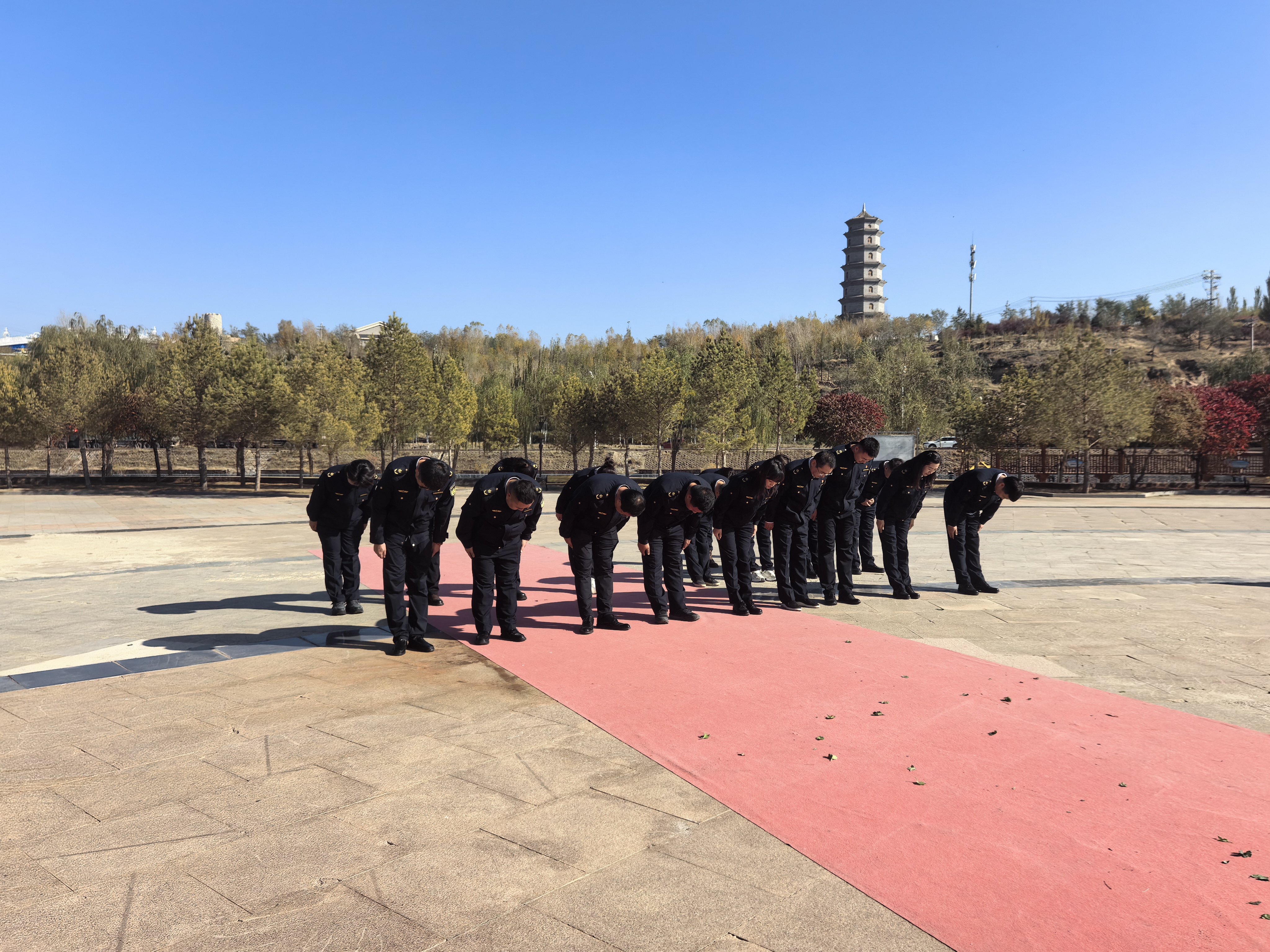 女人与公狍交酡女免费