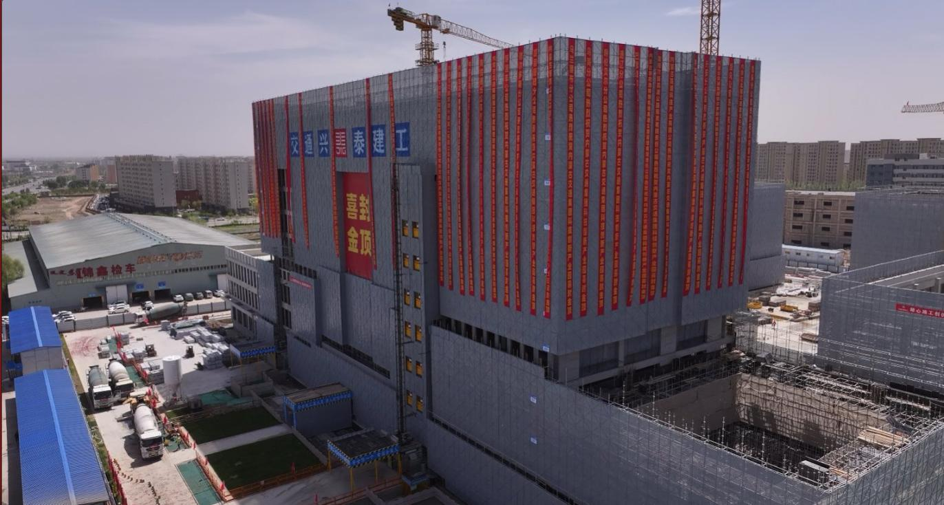 女人与公狍交酡女免费