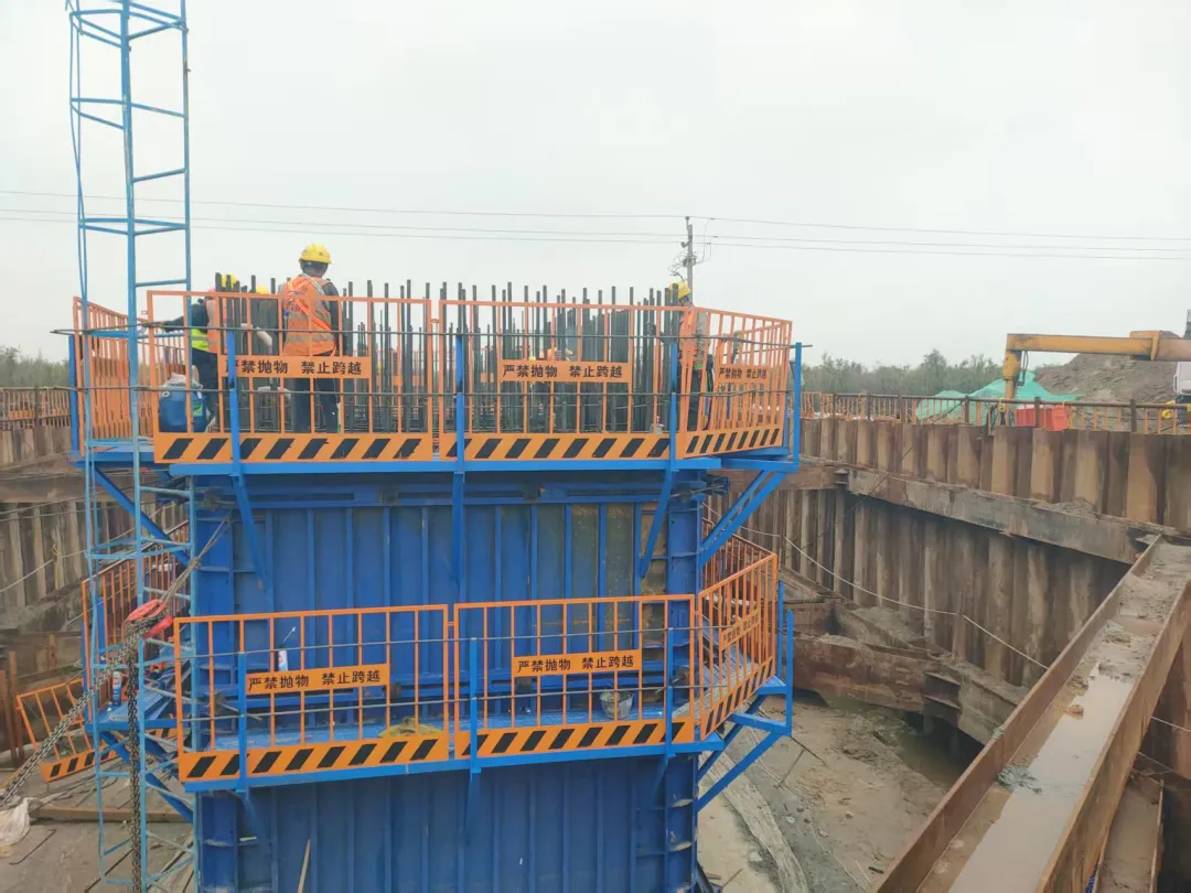 女人与公狍交酡女免费