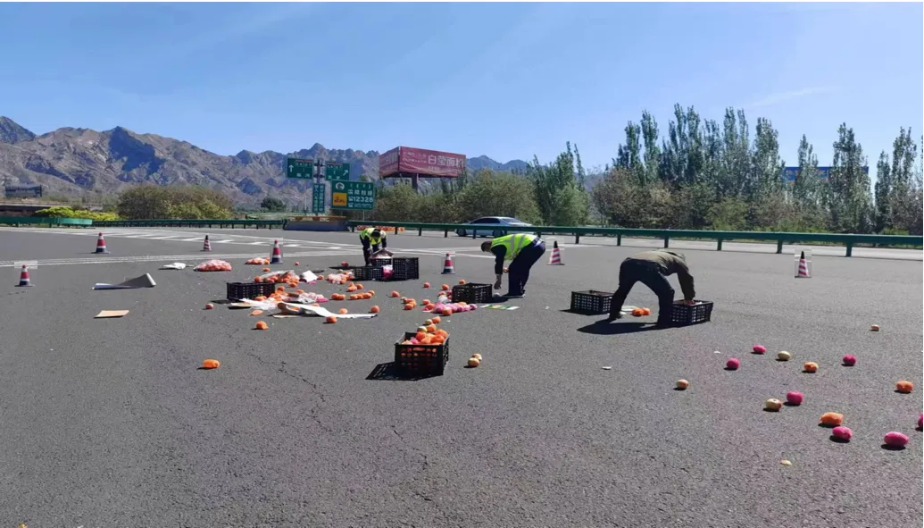 女人与公狍交酡女免费