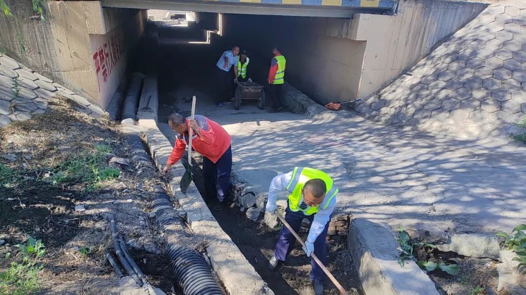 女人与公狍交酡女免费