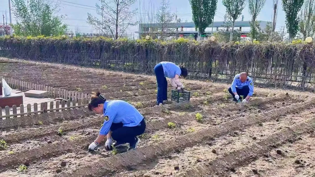 女人与公狍交酡女免费