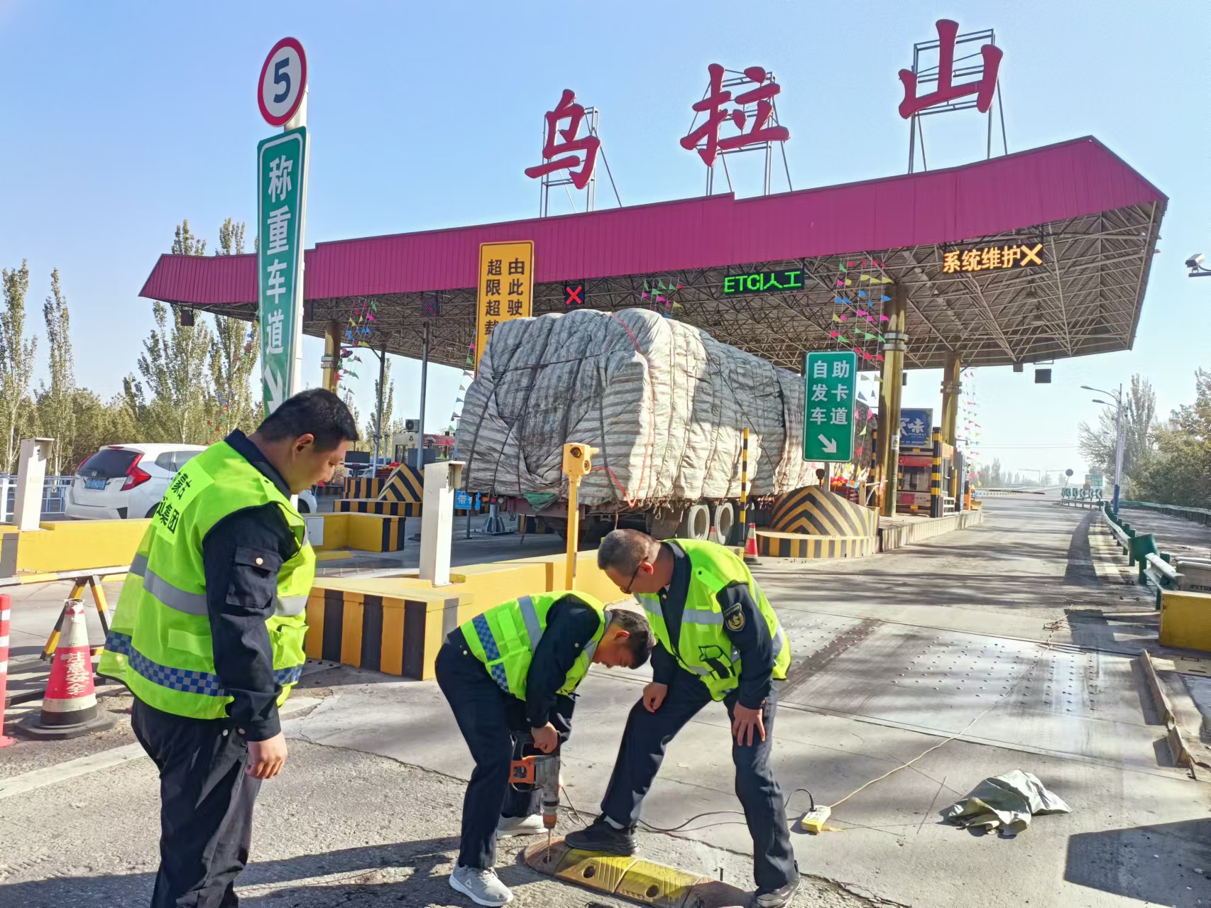 女人与公狍交酡女免费