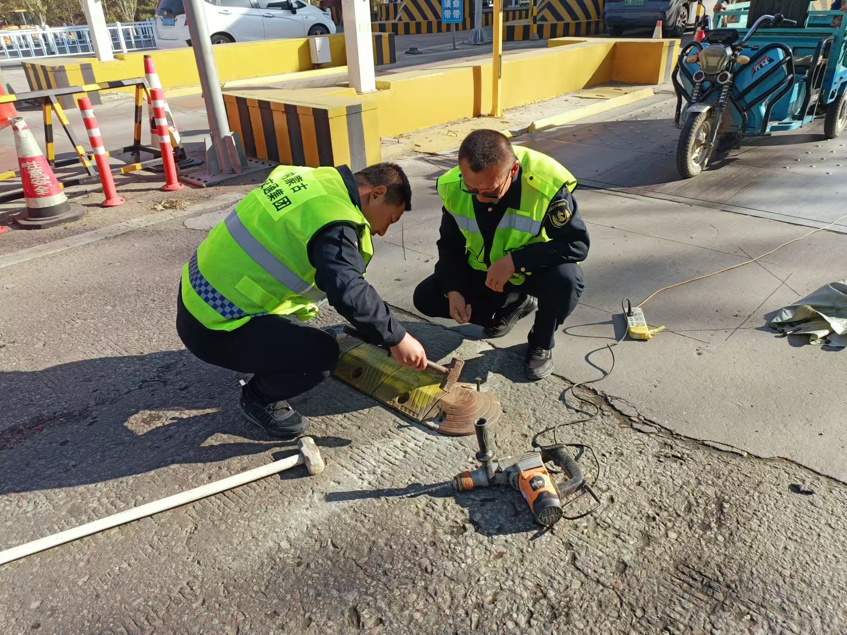 女人与公狍交酡女免费