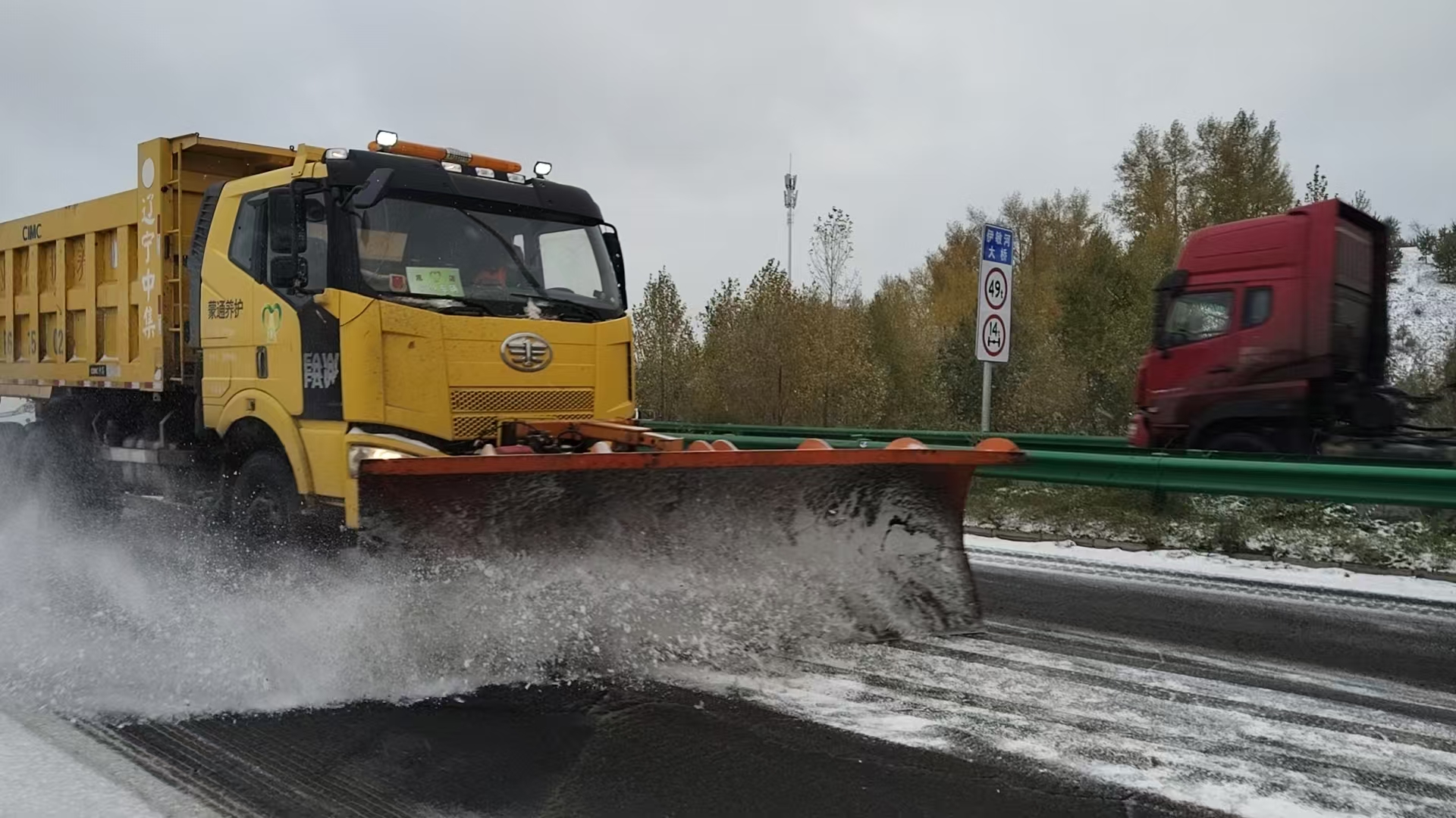 女人与公狍交酡女免费