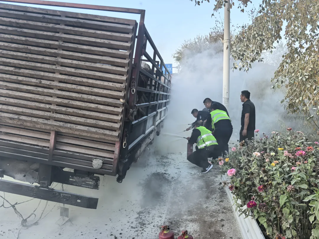 女人与公狍交酡女免费