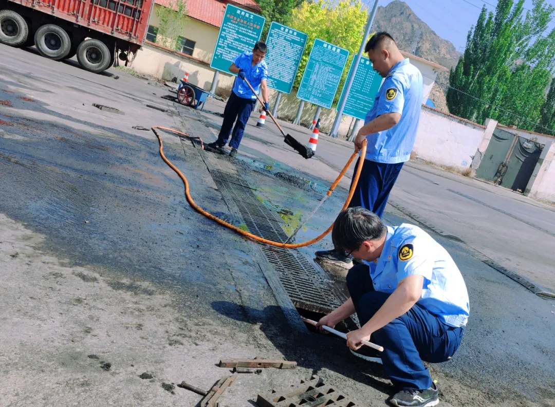 女人与公狍交酡女免费