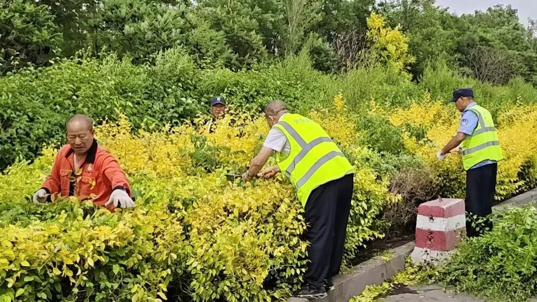 女人与公狍交酡女免费