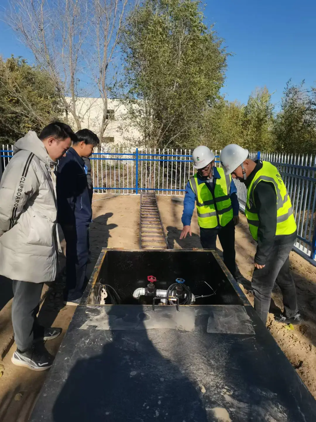 女人与公狍交酡女免费