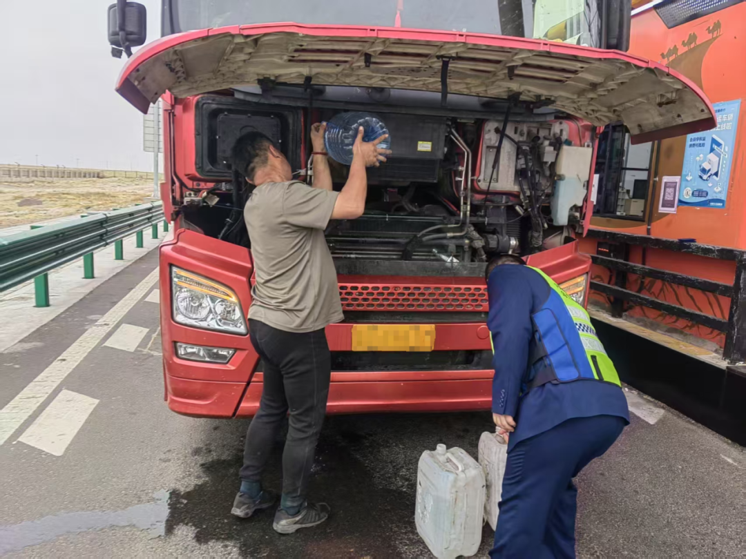 女人与公狍交酡女免费