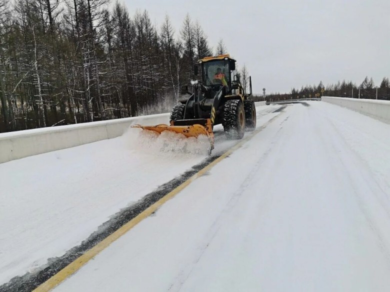 女人与公狍交酡女免费