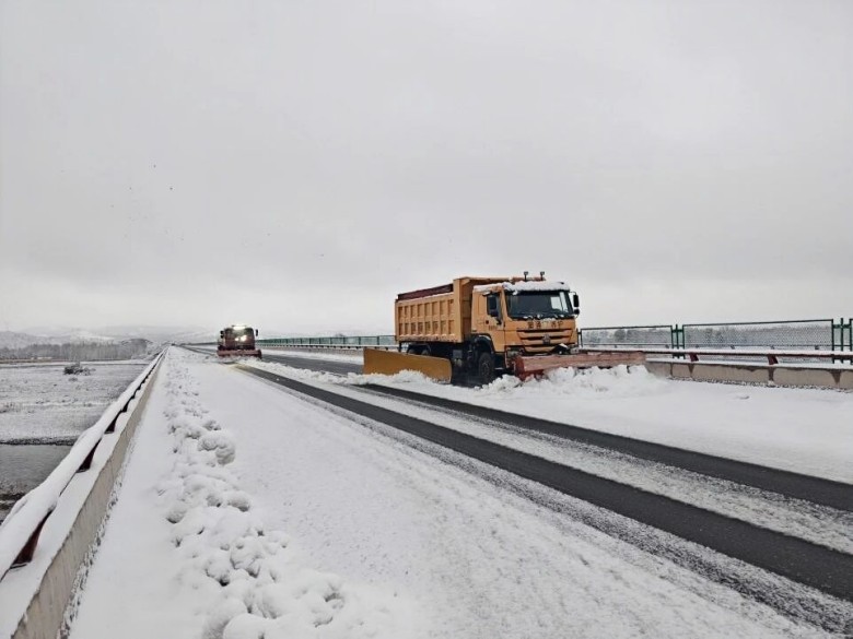 女人与公狍交酡女免费