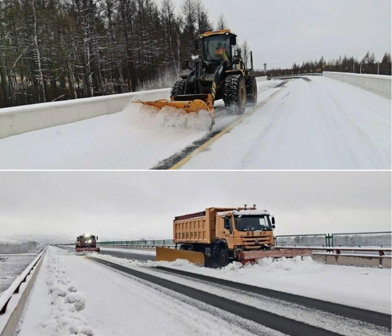 女人与公狍交酡女免费