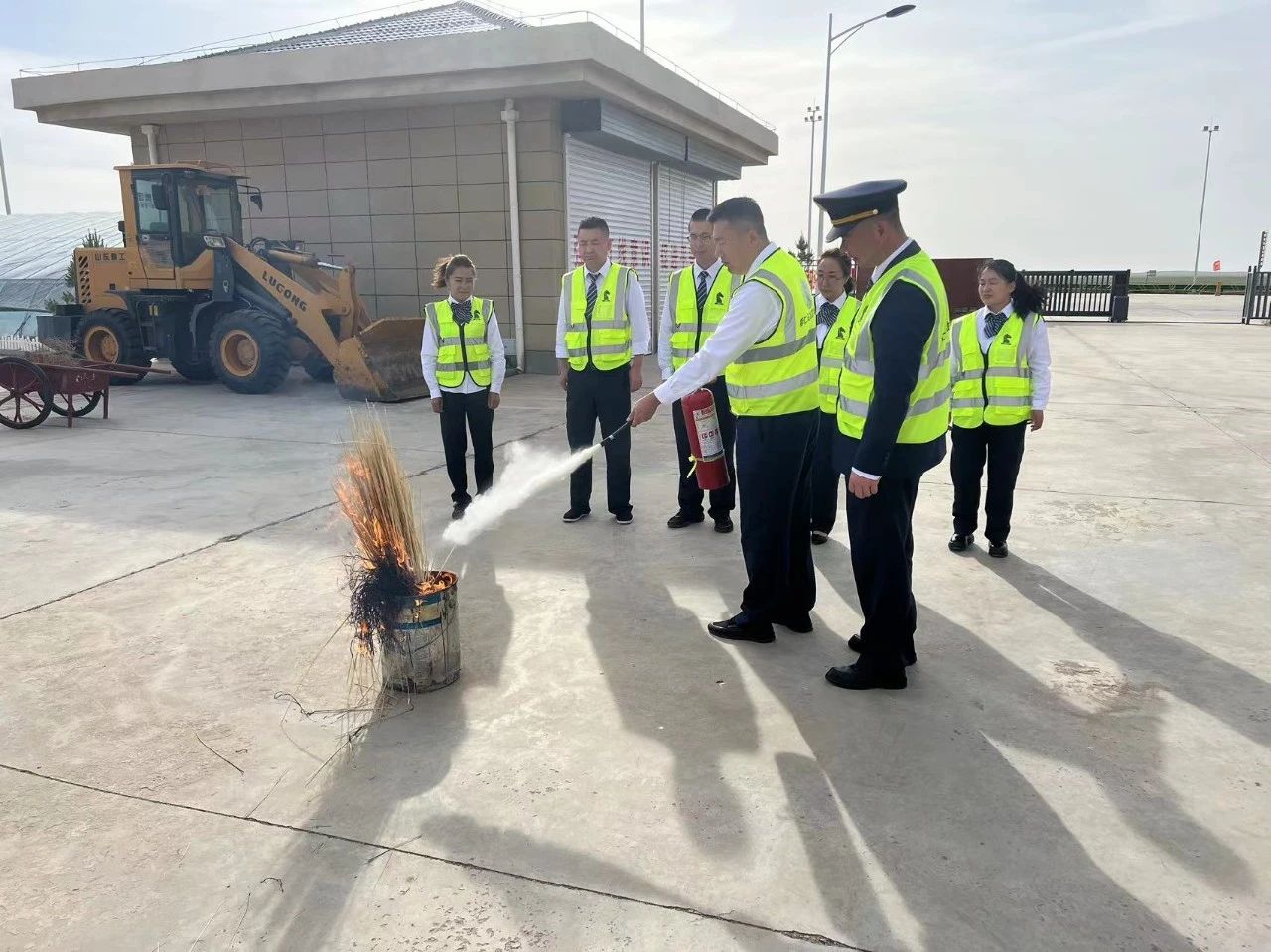 女人与公狍交酡女免费