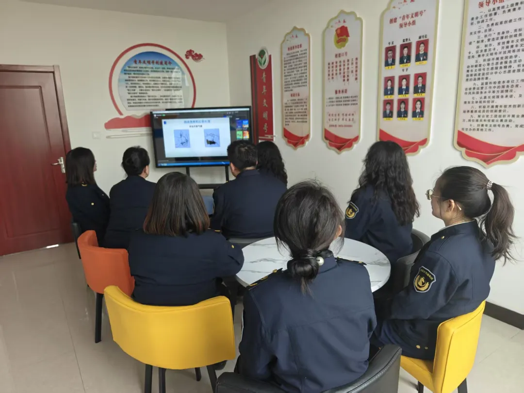 女人与公狍交酡女免费