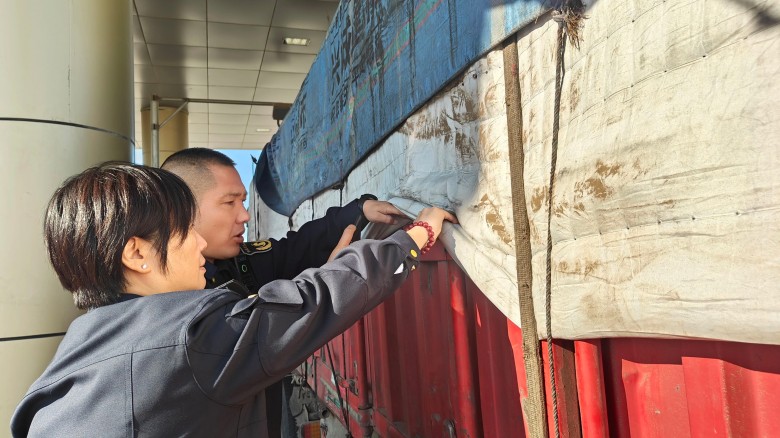 女人与公狍交酡女免费