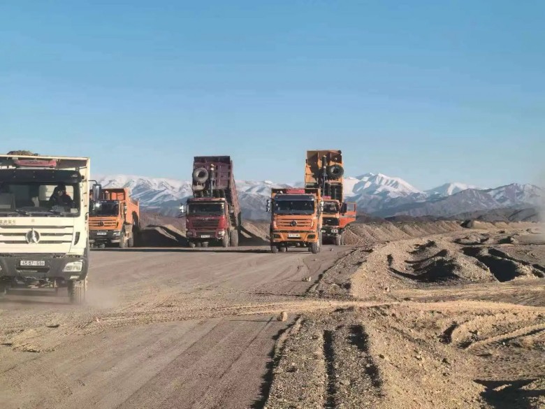 女人与公狍交酡女免费