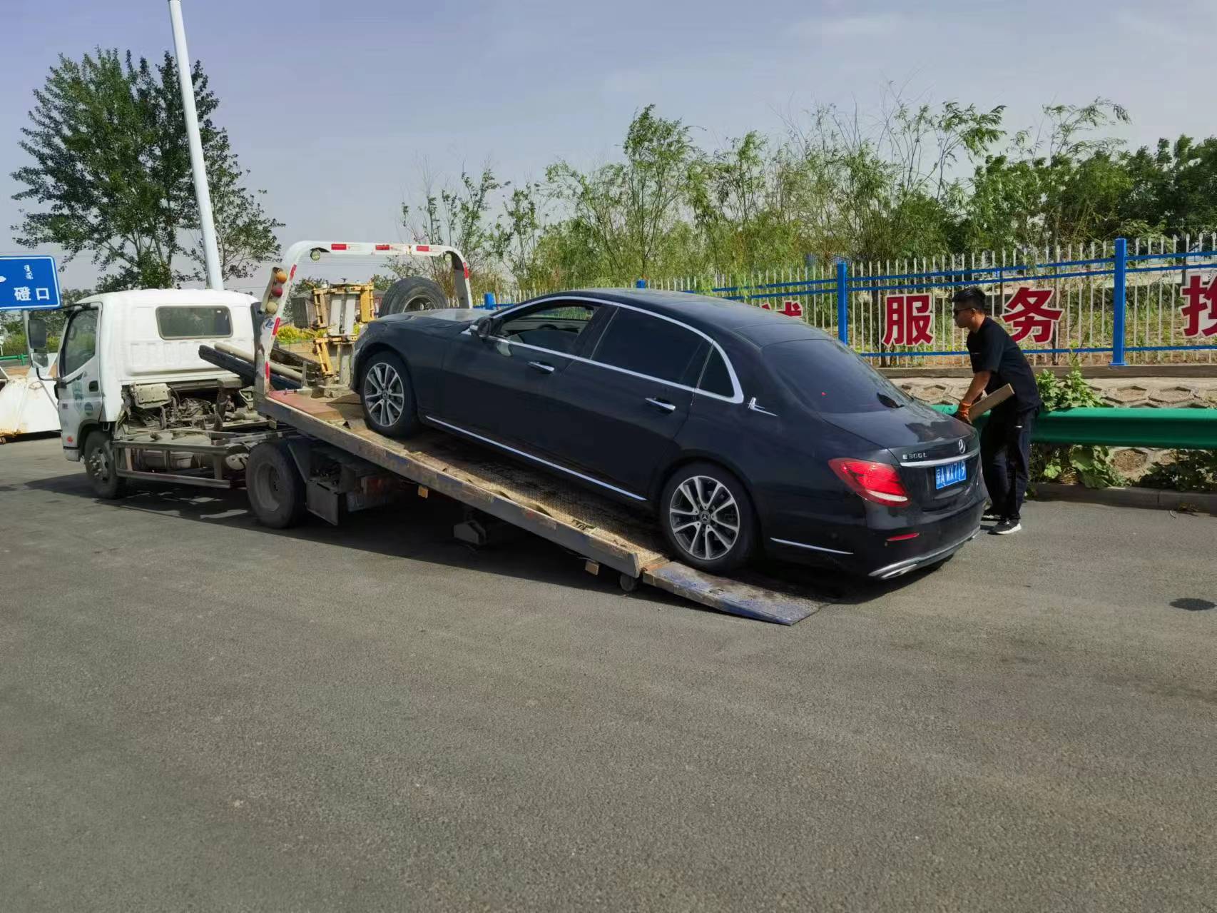 女人与公狍交酡女免费