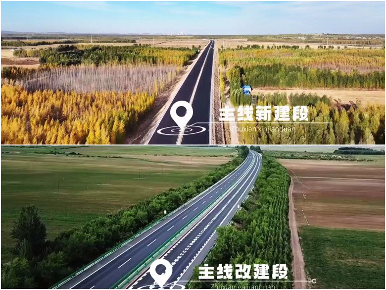 女人与公狍交酡女免费