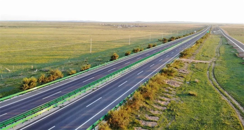 女人与公狍交酡女免费