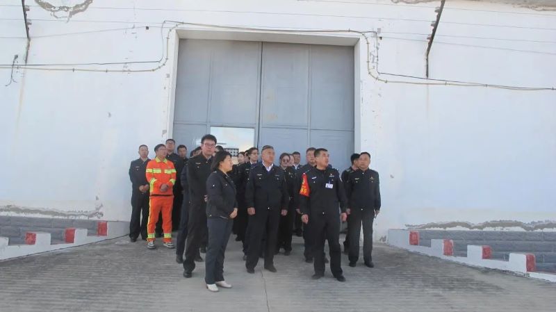 女人与公狍交酡女免费