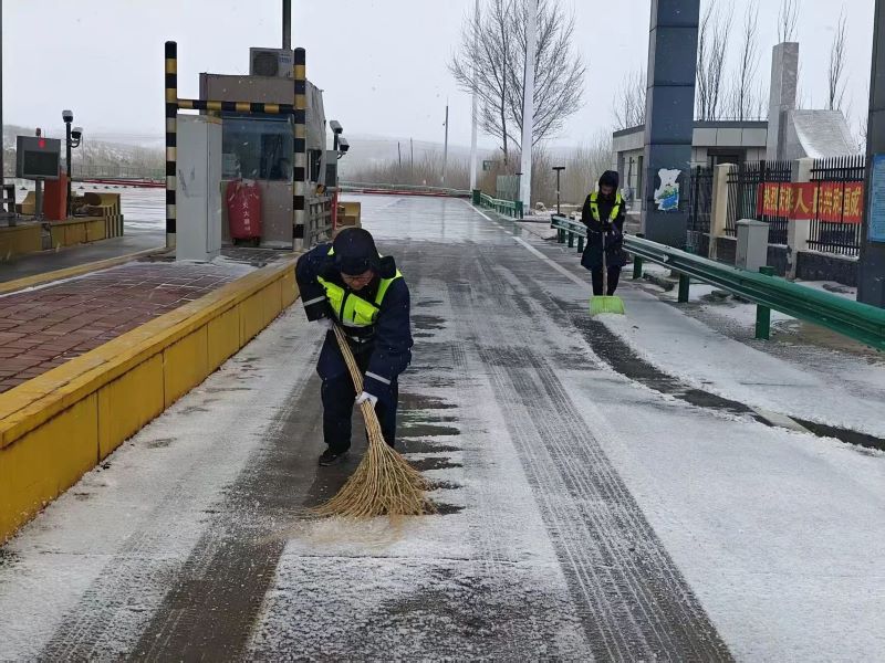 女人与公狍交酡女免费