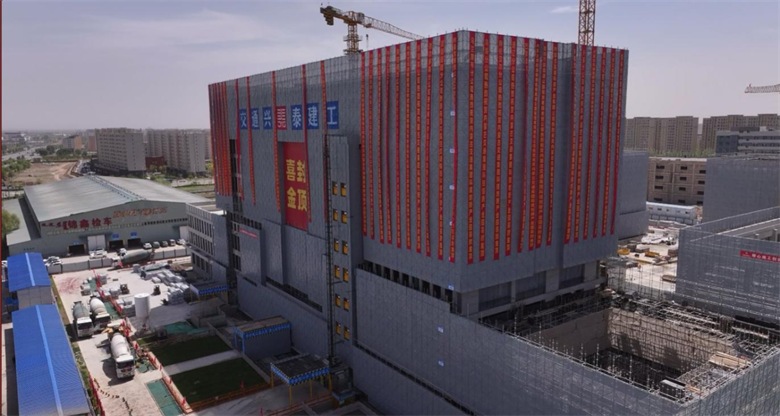 女人与公狍交酡女免费