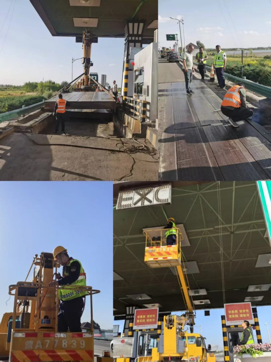 女人与公狍交酡女免费