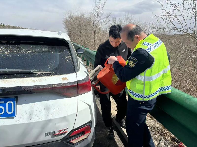 女人与公狍交酡女免费