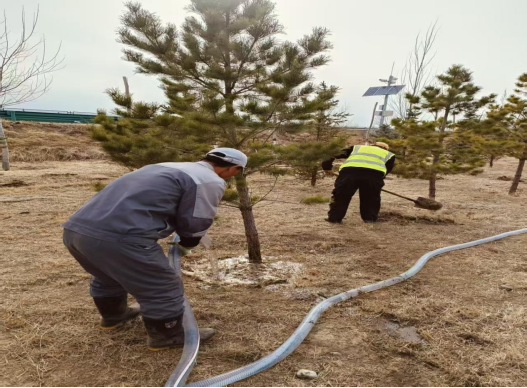女人与公狍交酡女免费