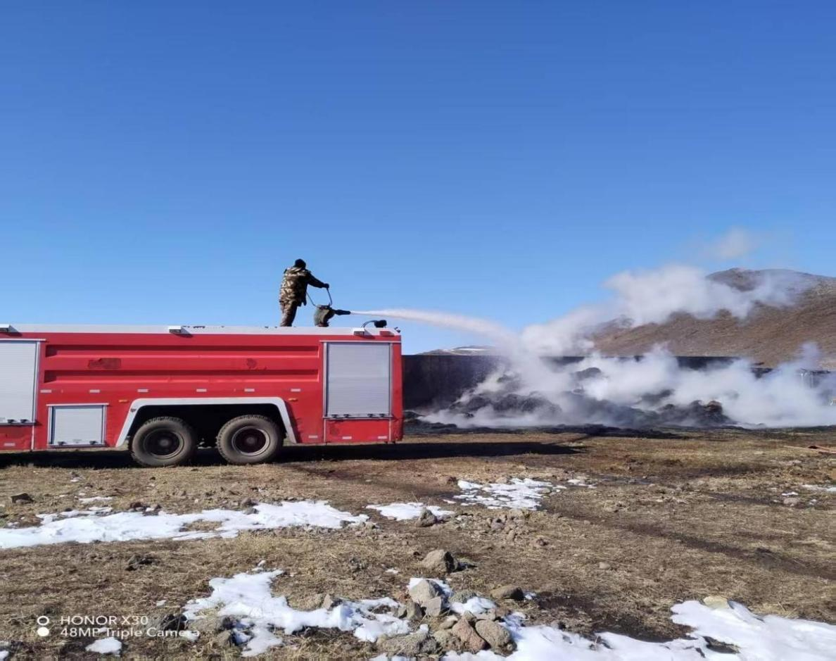 女人与公狍交酡女免费