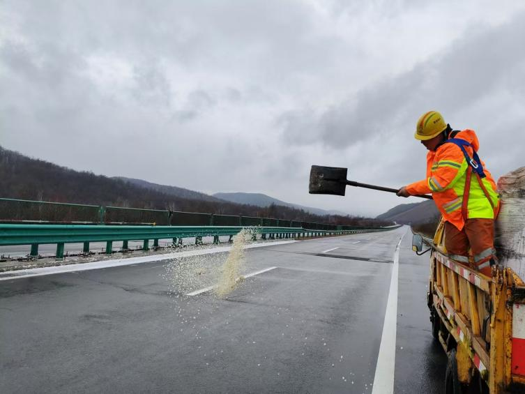 女人与公狍交酡女免费