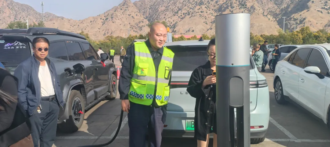 女人与公狍交酡女免费