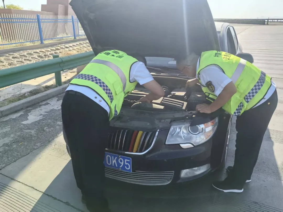 女人与公狍交酡女免费