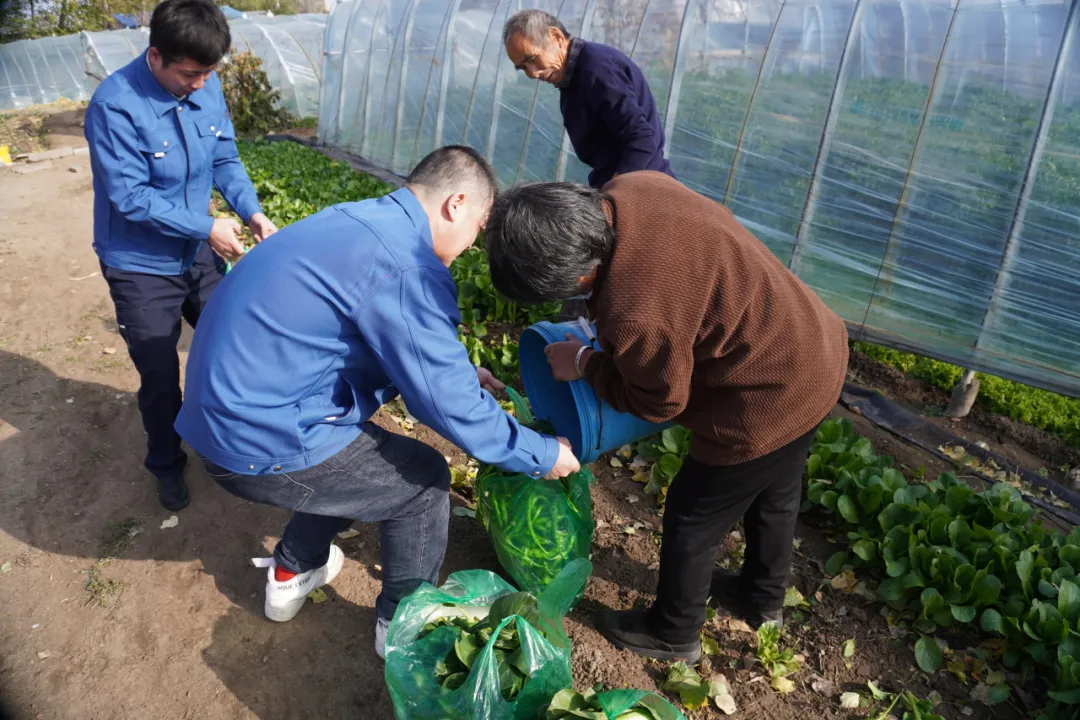 女人与公狍交酡女免费