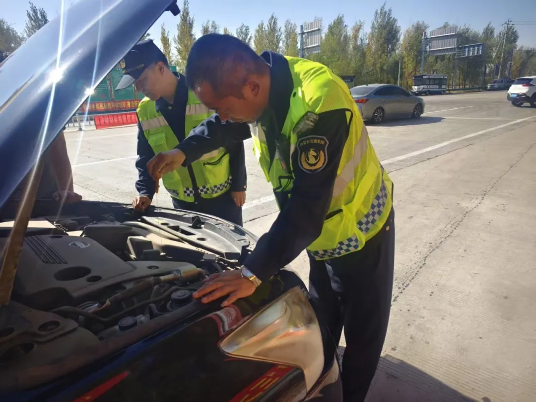 女人与公狍交酡女免费