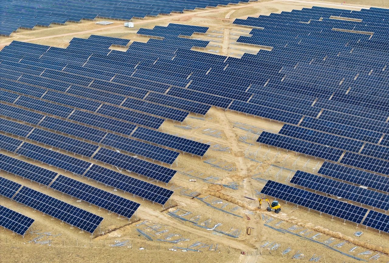 女人与公狍交酡女免费