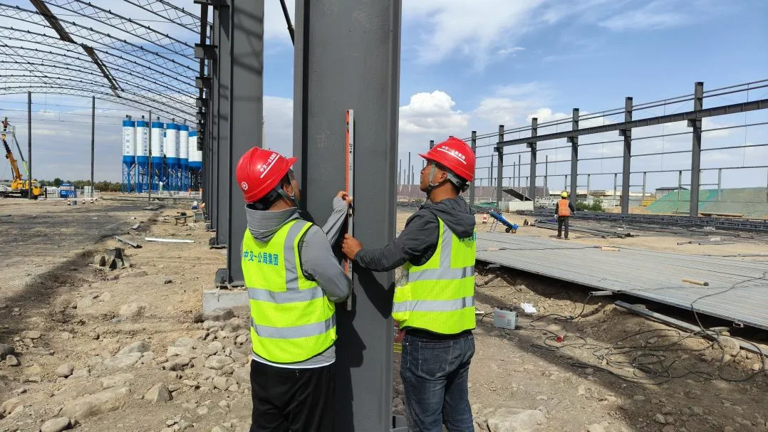 女人与公狍交酡女免费