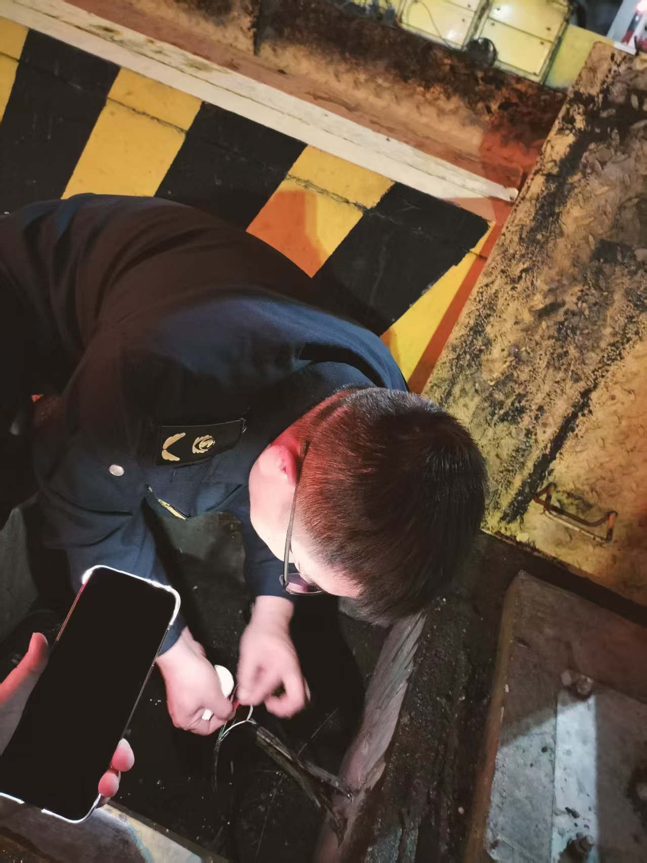 女人与公狍交酡女免费