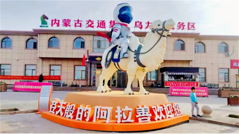 女人与公狍交酡女免费