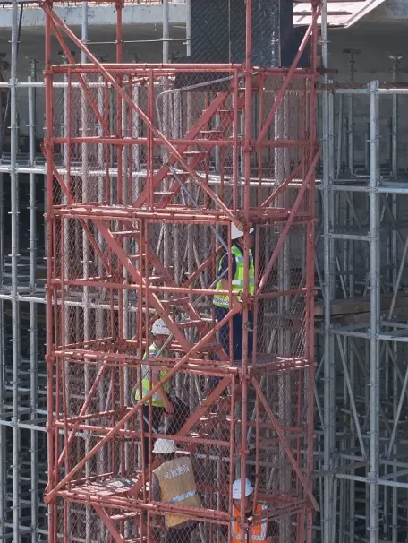 女人与公狍交酡女免费