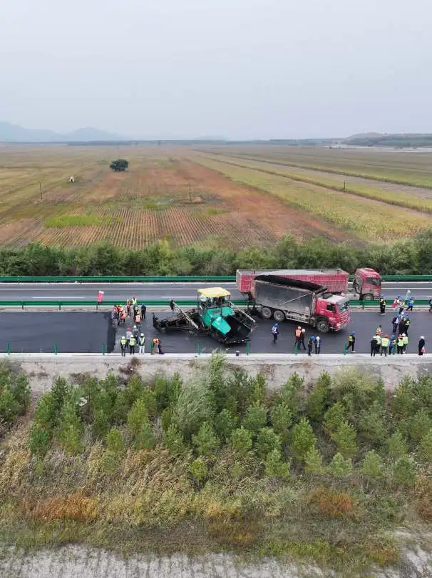 女人与公狍交酡女免费